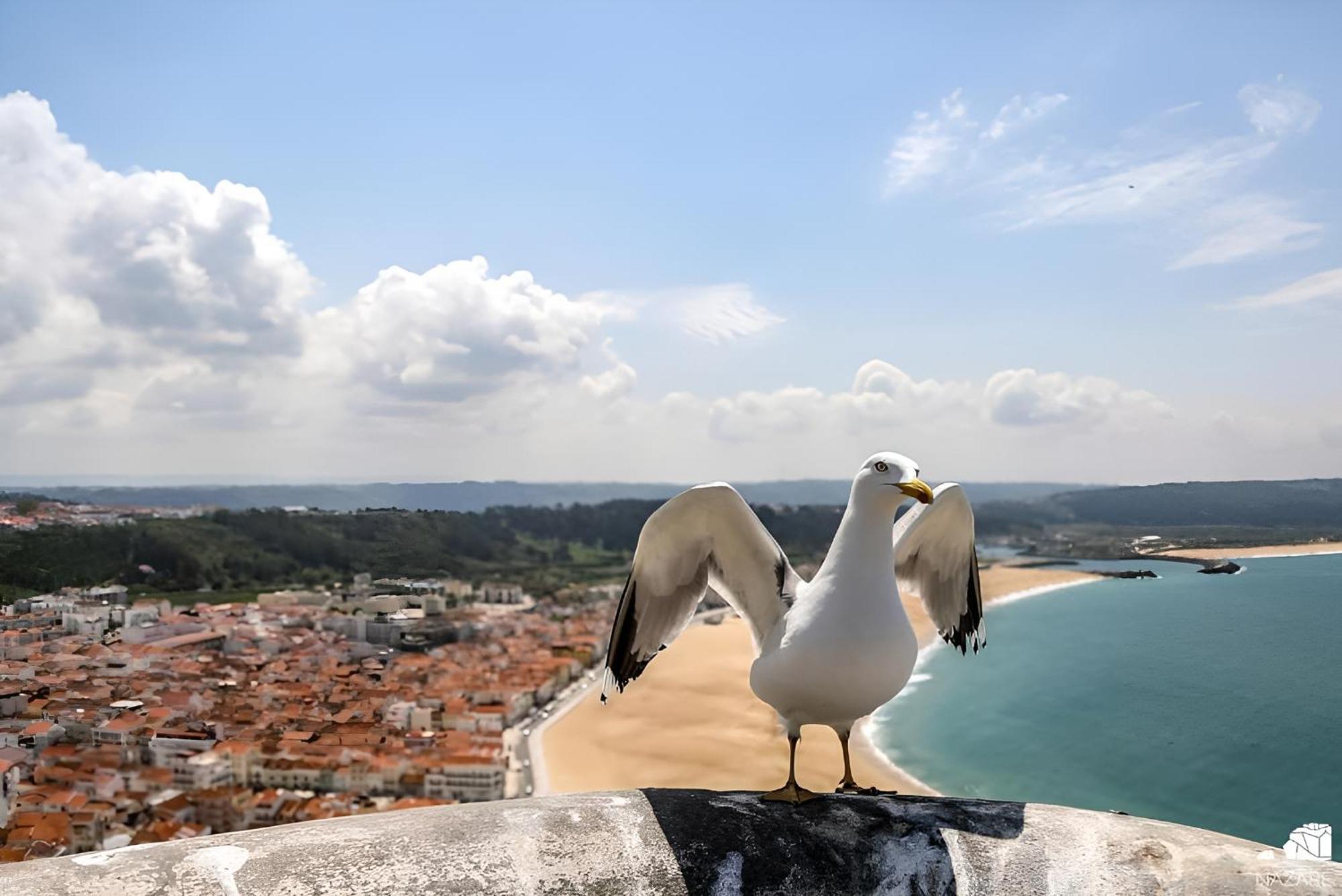 Ricky House Big Waves Apartment Nazare Ngoại thất bức ảnh